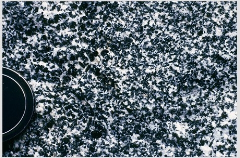 Which of the following rock photographs depicts a felsic igneous rock? A)    B)    C)    D)   