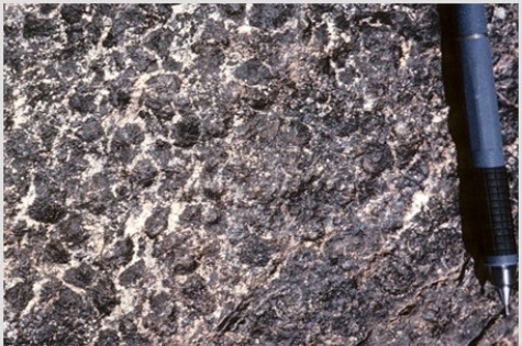 Which of the following rock photographs depicts a felsic igneous rock? A)    B)    C)    D)   