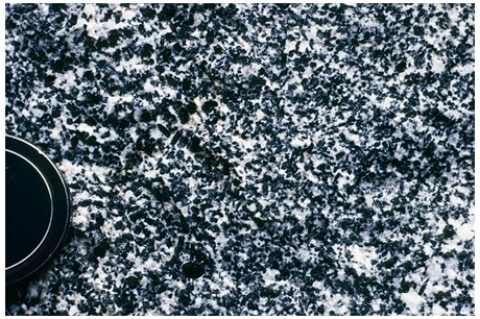 Which of the following rock photographs depicts an igneous rock that trapped gas? A)    B)    C)    D)   