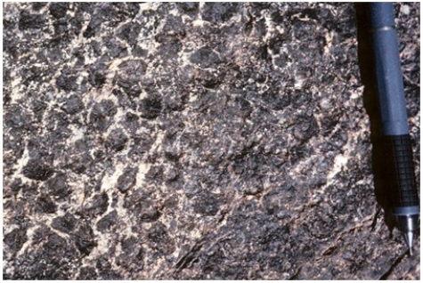 Which of the following rock photographs depicts an igneous rock that trapped gas? A)    B)    C)    D)   