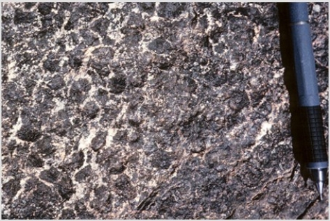 Which of the following photographs depicts an igneous rock where the magma cooled slowly at first and then had fast cooling? A)    B)    C)    D)   