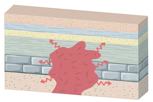 The type of metamorphism that would occur in this setting is   A) regional metamorphism. B) contact metamorphism. C) subduction. D) thrust faulting.