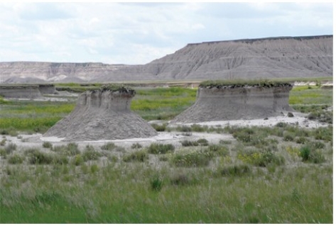 These pillars are remnants of layers,most of which have been stripped away by wind erosion.If this occurred in less than 5 years you might reasonably conclude that   A) the pillars are remnants of volcanic necks. B) this area recently has become a productive place to produce agriculture. C) there must have been drought,overgrazing,or some short-term climatic change. D) this area was originally a lake.