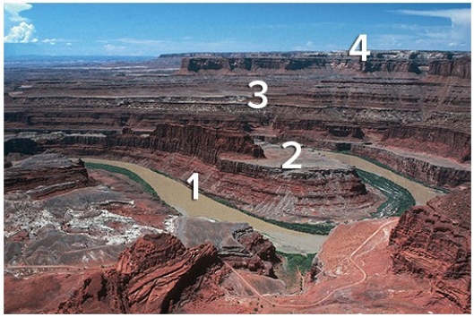 Which numbered layer represents the youngest layer?   A) 1 B) 2 C) 3 D) 4