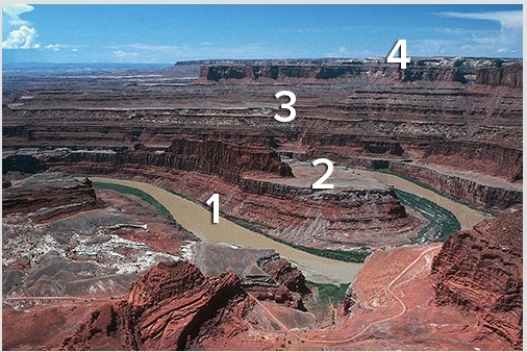 Which sequence of numbers reflects the order in which the layers were deposited?   A) 1,2,3,4 B) 1,3,4,2 C) 4,3,2,1 D) 4,3,1,2 E) None of these are correct.