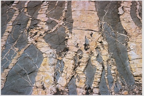 The principle that can be used to determine that the rocks shown in the photograph have not been deformed since they were deposited is the principle of   A) original horizontality. B) superposition. C) crosscutting relations.