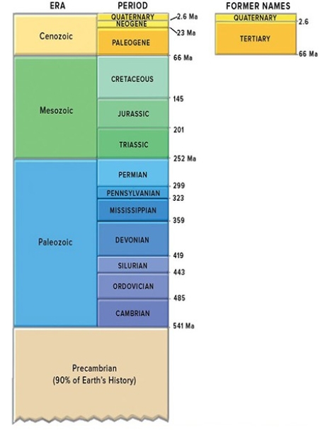 This figure shows the geologic timescale.Which period listed below would be part of the Cenozoic?   A) Neogene B) Jurassic C) Triassic D) Pennsylvanian E) Cambrian