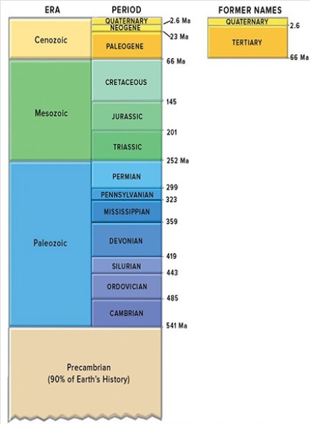 This figure shows the geologic timescale.Which period listed below would be part of the Mesozoic?   A) Neogene B) Jurassic C) Pennsylvanian D) Mississippian E) Cambrian