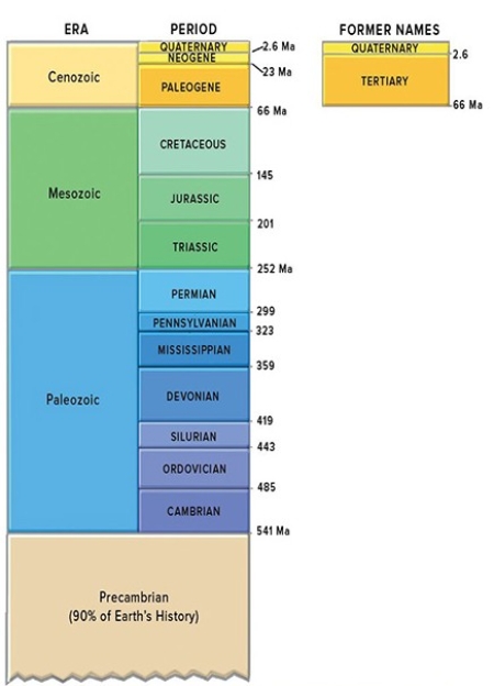 This figure shows the geologic timescale.Which period listed below would be part of the Paleozoic?   A) Neogene B) Paleogene C) Jurassic D) Triassic E) Cambrian