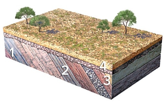What type of feature is represented by the boundary between geologic units 3 and 4?   A) Cleavage B) Unconformity C) Anticline D) Joint