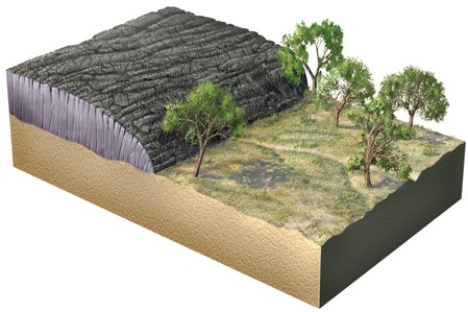 The geologic relationships in this figure indicate that   A) the lava flow pushed the trees over. B) the lava flow overlies an angular unconformity. C) the lava flow is younger than the landscape surface partially covered by the lava flow. D) materials beneath the lava flow were uplifted from great depth.
