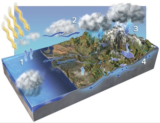 In which areas on the accompanying figure is condensation occurring?   A) 1 and 2 B) 2 and 3 C) 3 and 4 D) 1 and 3 E) 2 and 4