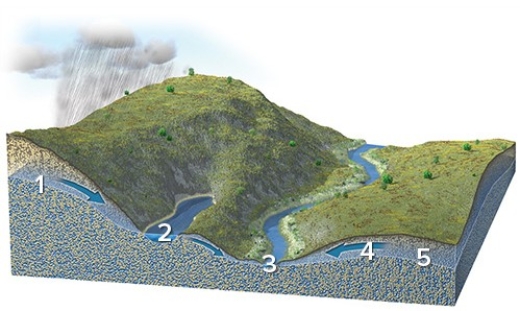 Each number on this figure refers to a location depicting groundwater in a subsurface material that is consistent in character across the entire figure.Of these locations,which one has the water table most clearly above the surface?   A) 1 B) 2 C) 3 D) 4 E) 5