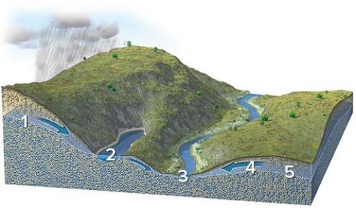 Each number on this figure refers to a location depicting groundwater in a subsurface material that is consistent in character across the entire figure.Of these locations,which one would have groundwater flowing to the left?   A) 1 B) 2 C) 3 D) 4 E) 5
