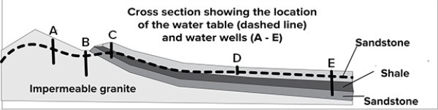This cross section shows the location of 5 wells and the water table.Which well is most likely to be an artesian well?   A) Well A B) Well B C) Well C D) Well D E) Well E