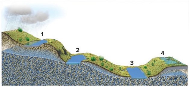 Which of these four lakes could only exist if they if they received water from precipitation or runoff from the land?   A) 1 and 2 B) 2 and 3 C) 3 and 4 D) 1 and 4 E) 2 and 4