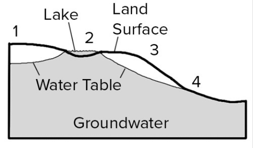 Where on this cross section would water at the surface become groundwater?   A) 1,2,and 3 B) 1 and 3 C) 2 and 4 D) 2 only E) 4 only