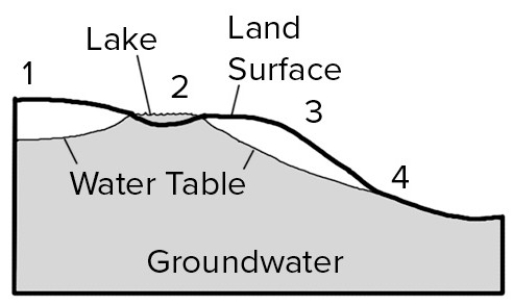Where on this cross section would groundwater most likely flow out to the surface?   A) 1,2,and 3 B) 1 and 3 C) 2 and 4 D) 2 only E) 4 only