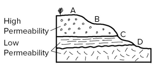 Which of the sites on this cross section would be the most likely place for a spring?   A) A B) B C) C D) D
