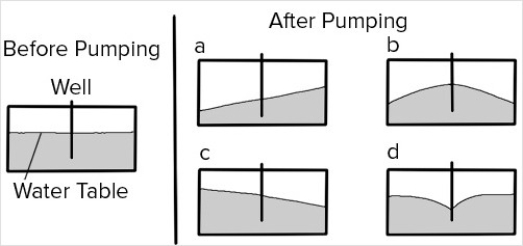 This figure shows a new well that will pump out groundwater faster than it can be replaced.What will the water table look like after pumping?   A) A B) B C) C D) D