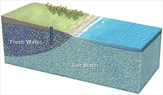 What could happen if this well is overpumped?   A) It will run out of water and become a dry well. B) It will yield more water over time. C) The water table will drop,causing sand to flow into the well. D) The bottom of the lens of fresh water will rise,causing the well to draw in salt water.
