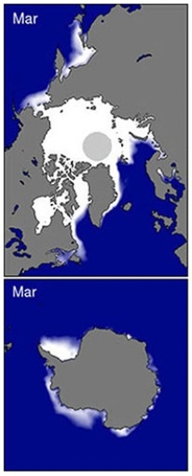 Which factor best explains the difference in March sea ice between March in the northern hemisphere and March in the southern hemisphere?   A) Low sun angle throughout the year B) High albedo for all surfaces C) Seasonal variation in daylength D) Continentality for all surfaces
