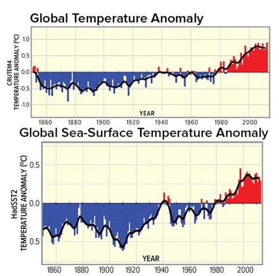 The main National Academy of Science conclusion on global warming since the mid-1800s states   A) insufficient data exists to definitively state global warming has occurred. B) temperatures have remain unchanged. C) temperatures have risen around 0.5°C. D) temperatures have risen 6°C.