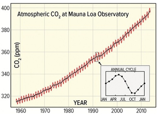 Between 1960 and 2010,atmospheric greenhouse CO₂has increased by   A) 400 ppm. B) 320 ppm. C) 80 ppm.