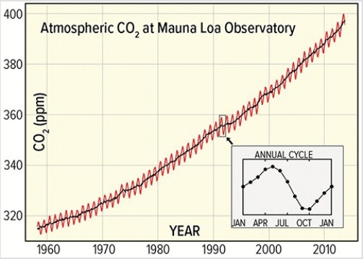 Calculate the percent increase in CO₂between 1960 (at 320 ppm) and 2010 (at 400 ppm) .The best answer is   A) 20%. B) 25%. C) 80%. D) 400%.