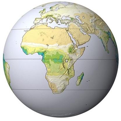 This globe,from the opening two-page spread of the Climate chapter,shows average annual precipitation (blue and green are highest; tan is lowest) .What is the main factor causing northern Africa to have very low amounts of precipitation?   A) Trade winds B) Westerlies C) Downward flow of dry air in subtropics D) Upward flow of dry air in the mid-latitudes