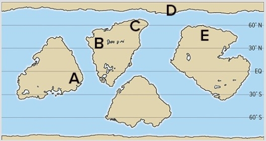 Which of the following areas would most likely be a rainforest?   A) A B) B C) C D) D E) E