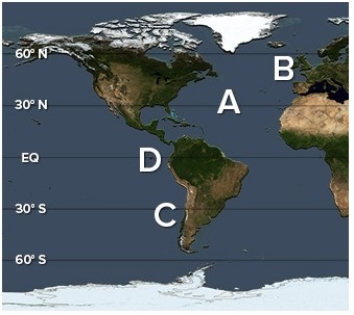 Where on the following world map are the highest salinities?   A) A B) B C) C D) D