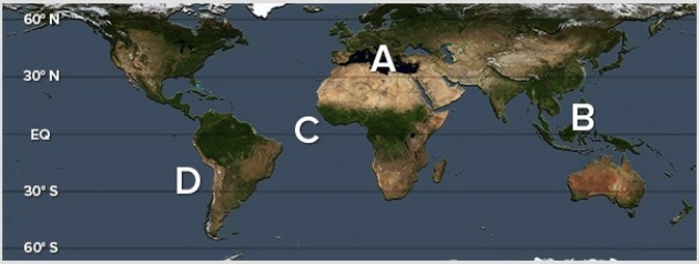 The world's largest warm pool is located at   A) A. B) B. C) C. D) D.