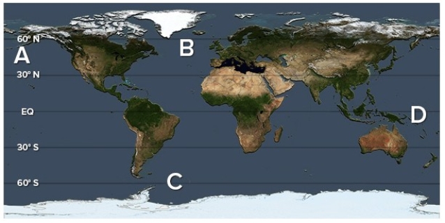 Which of the following locations is associated with a zone of upwelling for the Antarctic bottom waters (AABW) ?   A) A B) B C) C D) D