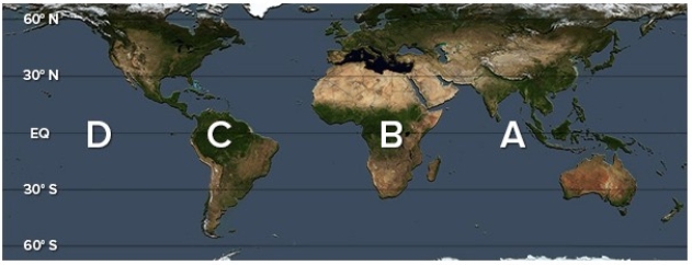 Which of the following letters best represents a location where sinking air in a Walker cell is most typical?   A) A B) B C) C D) D