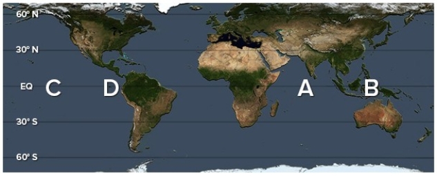 During a La Niña phase,excess warm water accumulates in   A) A. B) B. C) C. D) D.