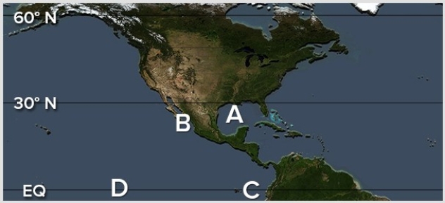 During the cold phase of the El Niño,the warmest waters are located at   A) A. B) B. C) C. D) D.
