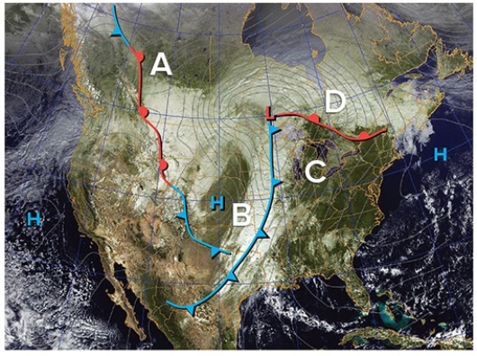 Find the largest cold front located on the map.The likely air mass to the west of the cold front is a ________ mass that is likely to be ________ than the air mass to the east.   A) mT; moister B) mP; moister C) cP; drier D) cP; moister