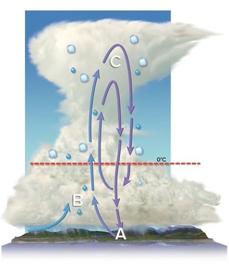 Where in the cloud is Bergeron process going to be most vigorous?   A) A B) B C) C