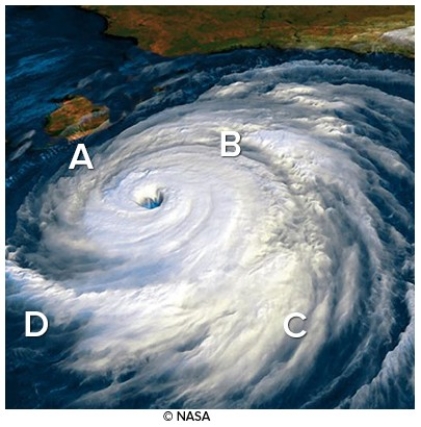 The most likely area for the development of tornadoes from this hurricane once it makes landfall is   A) A. B) B. C) C. D) D.
