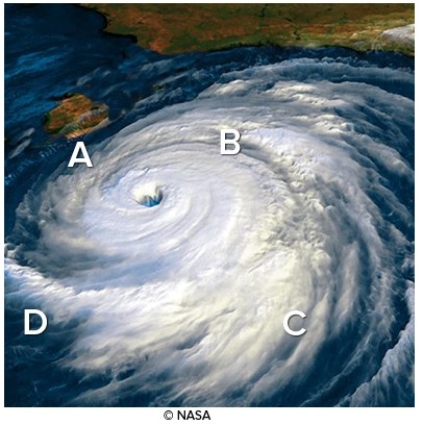 Where will the storm surge be greatest for this cyclone or hurricane making land fall in Louisiana?   A) A B) B C) C D) D
