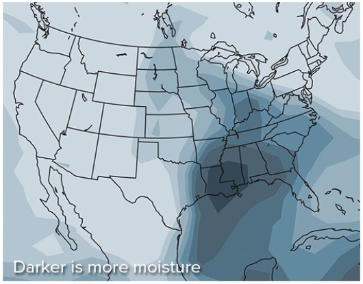 This map shows atmospheric moisture on Day 1 of the weather investigation,with darker areas showing the highest amount of moisture.Based on this map,which area has the driest air?   A) Southeastern United States B) Eastern Texas C) Southwestern United States D) The Mississippi River valley,near Arkansas and Tennessee