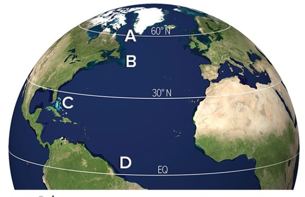 Which of the following locations would have the lowest specific humidity?   A) A B) B C) C D) D