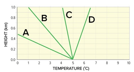 Which of the following environmental lapse rates represent stable inversion conditions?   A) A B) B C) C D) D
