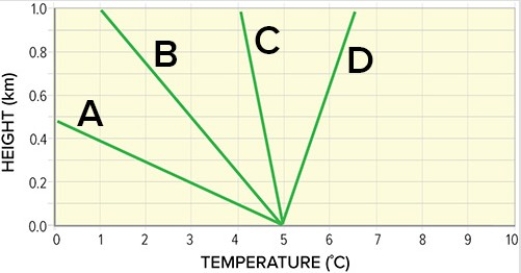 Which of the following environmental lapse rates represent the most unstable conditions?   A) A B) B C) C D) D