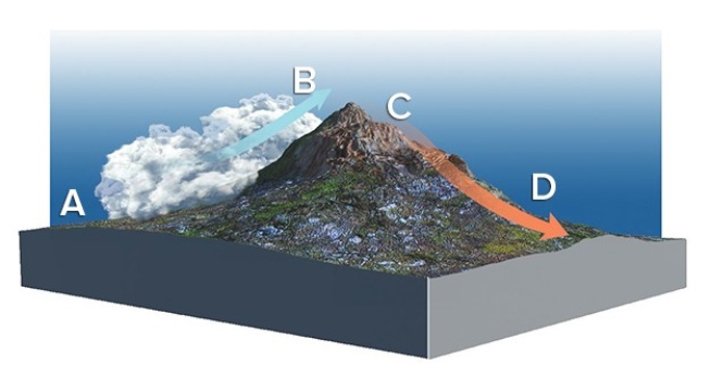 Given the prevailing wind direction indicated by the arrow,where would you expect temperatures to be warmest and the humidity lowest?   A) A B) B C) C D) D