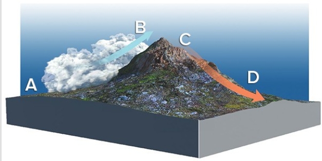 Given the prevailing wind direction indicated by the arrow,where would you expect air to be cooling at the saturated adiabatic lapse rate?   A) A B) B C) C D) D