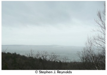 These clouds are not precipitating and covers the entire sky,forming a low blanket of clouds that causes overcast conditions.These are   A) stratus. B) nimbostratus. C) altostratus. D) cirrostratus.