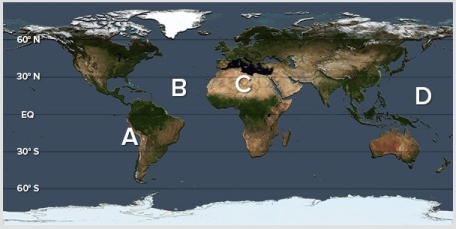 Which of the following locations would be most prone to an advection fog?   A) A B) B C) C D) D