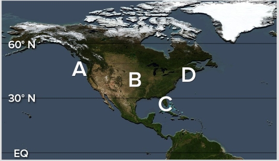 Which of the following locations has a high incidence of fogs caused by relatively warm,maritime air passing over a cold land surface?   A) A B) B C) C D) D